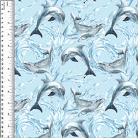 **NEW** PREORDER Dolphin Humpback