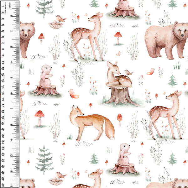 **NEW** PREORDER Friends of the Mushroom Field