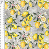 Remnant Lemons On Cement 17” Bamboo French Terry