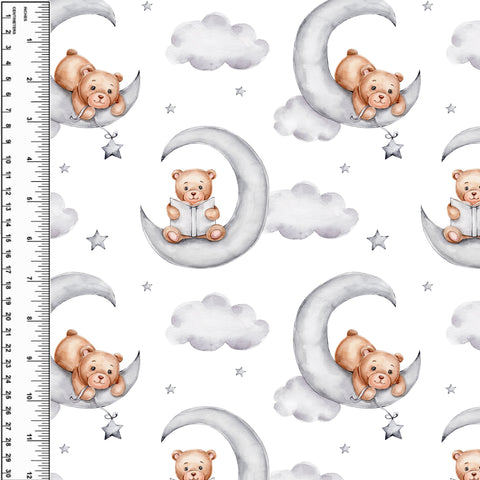 **NEW** PREORDER Moonlit Bear Reading