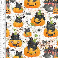 PREORDER Pumpkin Cats