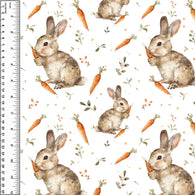 **NEW** PREORDER Rabbit Carrots