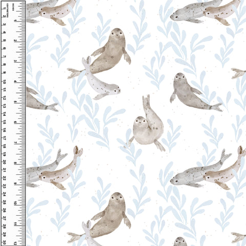 **NEW** PREORDER Scandi Seals Pacific