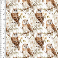 **NEW** PREORDER Sly Prairie Owl