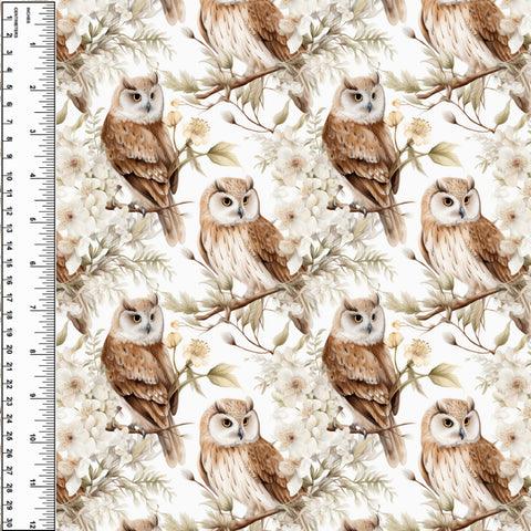 **NEW** PREORDER Sly Prairie Owl