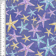 PREORDER Starfish
