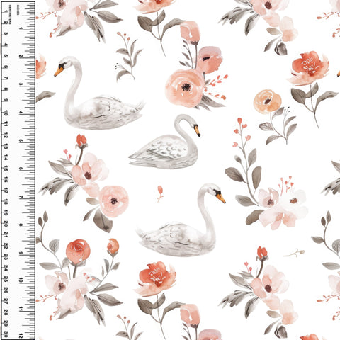 **NEW** PREORDER Swans Pastel