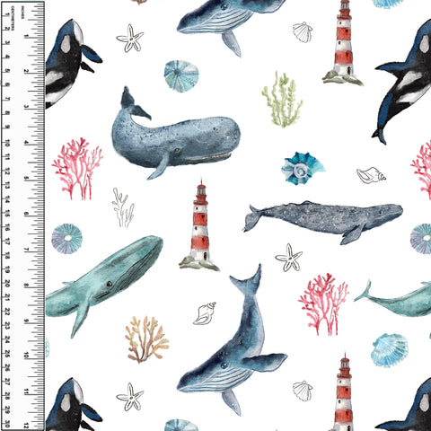 **NEW** PREORDER Whales Seaside White