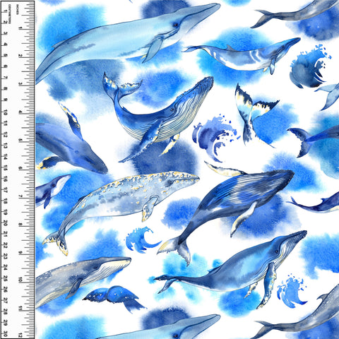 PREORDER Whales Watercolour