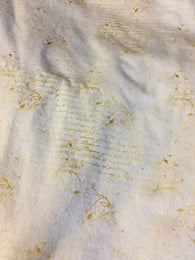 Remnant Old Script 28" Cotton Spandex