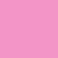 Bubble Gum Solid Squish