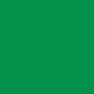 PREORDER Solid Green (Digitally Printed)