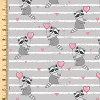 PREORDER Raccoon Stripe Grey