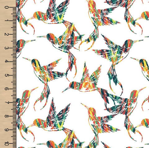 Rainbow Birds Swim